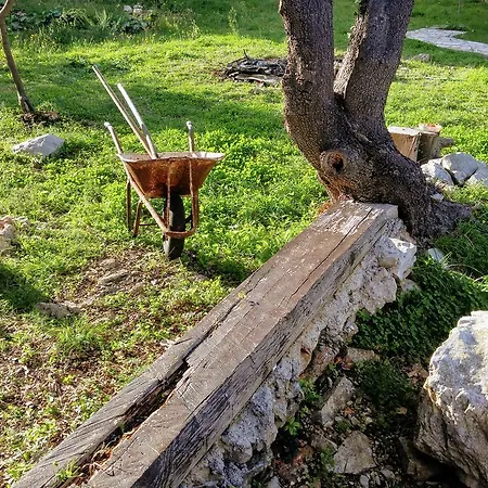 Busketini Dvori *
