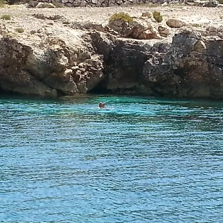 Busketini Dvori アパート オリブ島