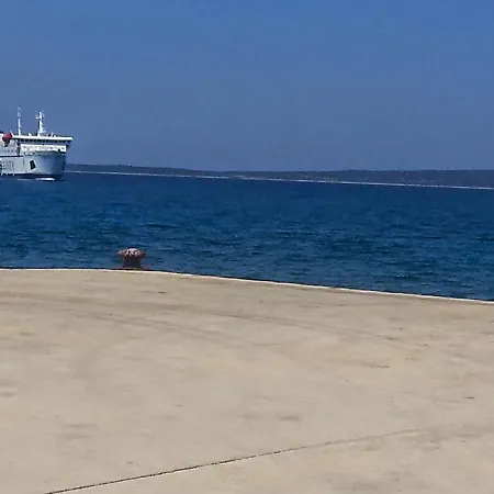 Busketini Dvori *